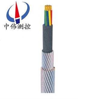 承荷探測電纜.jpg